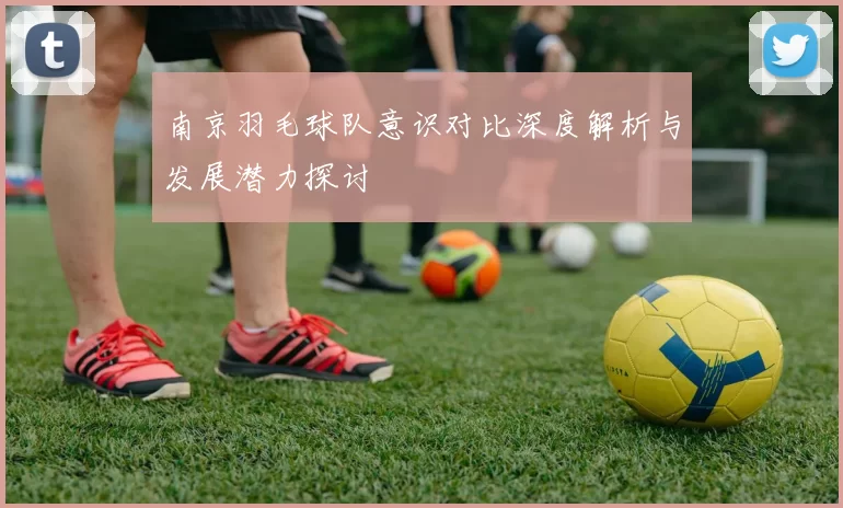 南京羽毛球队意识对比深度解析与发展潜力探讨