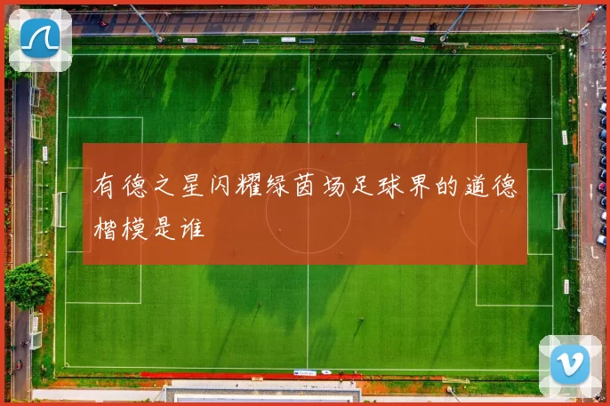 有德之星闪耀绿茵场足球界的道德楷模是谁
