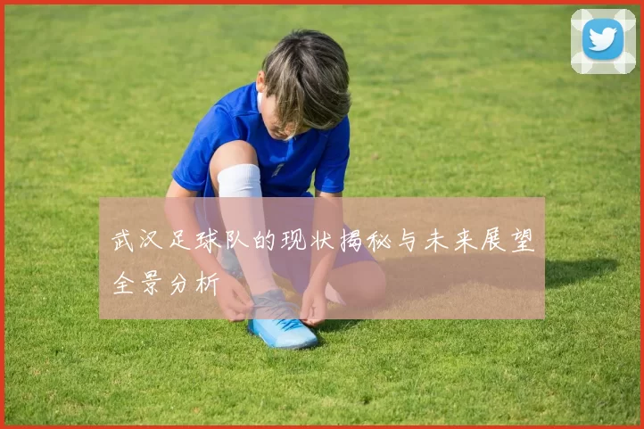 武汉足球队的现状揭秘与未来展望全景分析