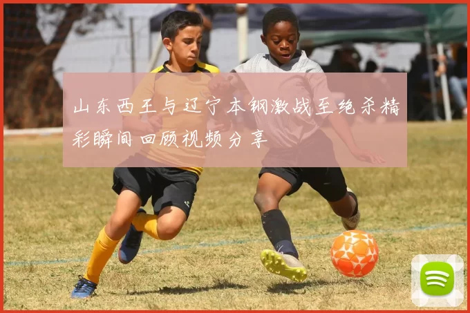 山东西王与辽宁本钢激战至绝杀精彩瞬间回顾视频分享