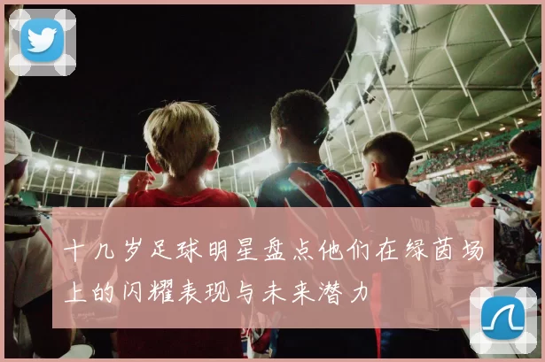十几岁足球明星盘点他们在绿茵场上的闪耀表现与未来潜力