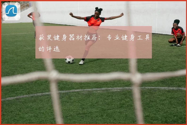 获奖健身器材推荐：专业健身工具的评选