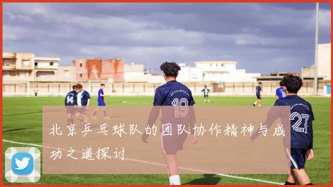 北京乒乓球队的团队协作精神与成功之道探讨