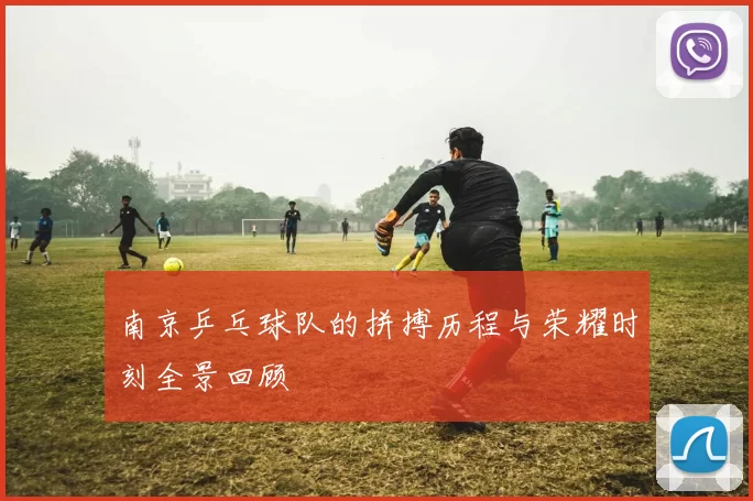 南京乒乓球队的拼搏历程与荣耀时刻全景回顾
