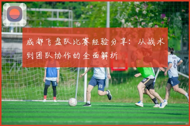 成都飞盘队比赛经验分享：从战术到团队协作的全面解析