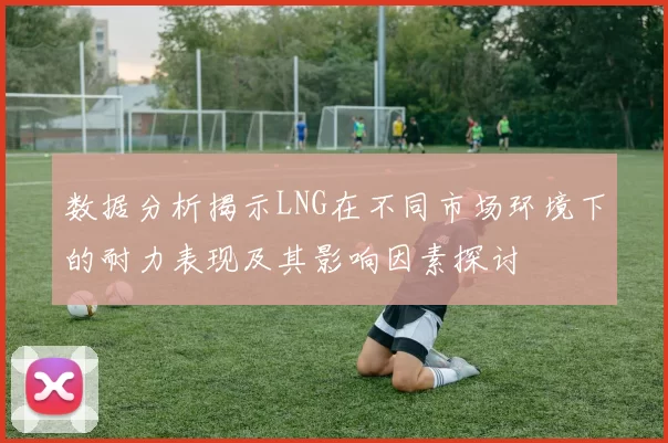 数据分析揭示LNG在不同市场环境下的耐力表现及其影响因素探讨