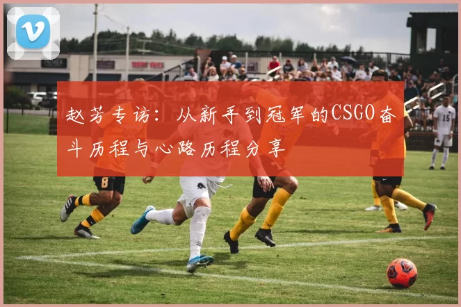 赵芳专访：从新手到冠军的CSGO奋斗历程与心路历程分享