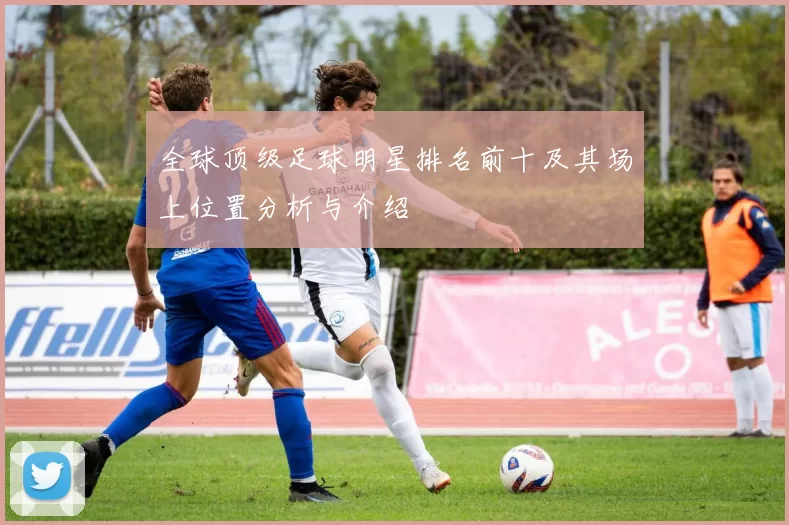 全球顶级足球明星排名前十及其场上位置分析与介绍