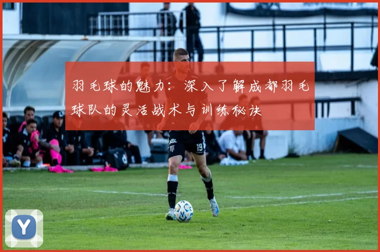 羽毛球的魅力：深入了解成都羽毛球队的灵活战术与训练秘诀