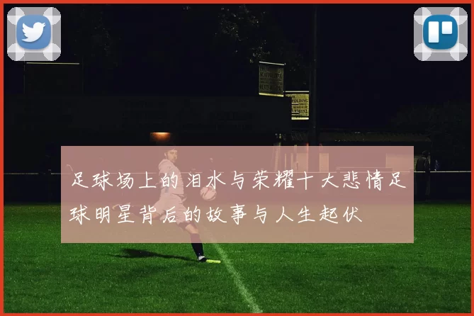 足球场上的泪水与荣耀十大悲情足球明星背后的故事与人生起伏