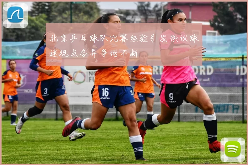 北京乒乓球队比赛经验引发热议球迷观点各异争论不断