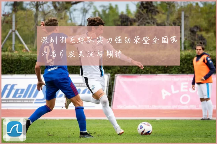 深圳羽毛球队实力强劲荣登全国第六名引发关注与期待