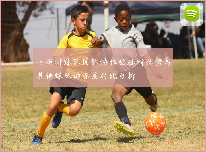 上海排球队团队协作的独特优势与其他球队的深度对比分析