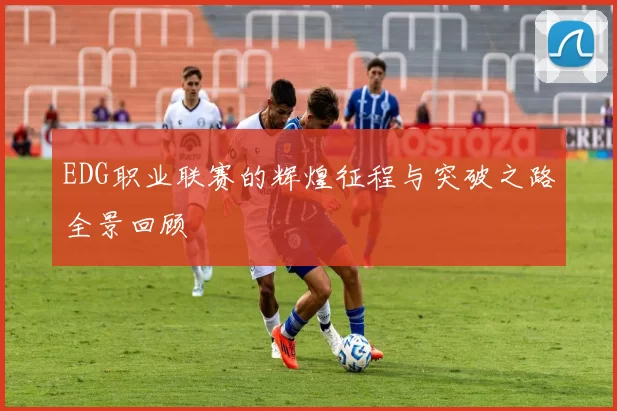 EDG职业联赛的辉煌征程与突破之路全景回顾