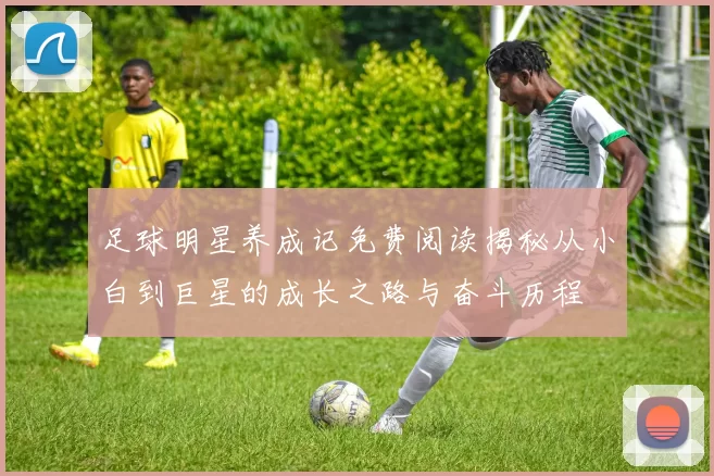 足球明星养成记免费阅读揭秘从小白到巨星的成长之路与奋斗历程