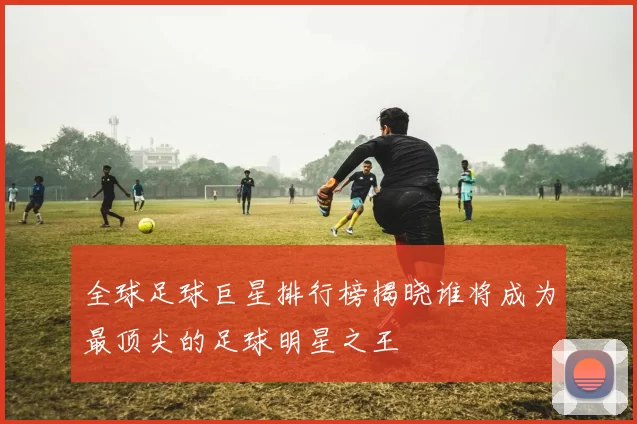 全球足球巨星排行榜揭晓谁将成为最顶尖的足球明星之王