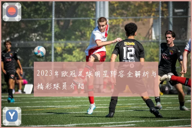 2023年欧冠足球明星阵容全解析与精彩球员介绍