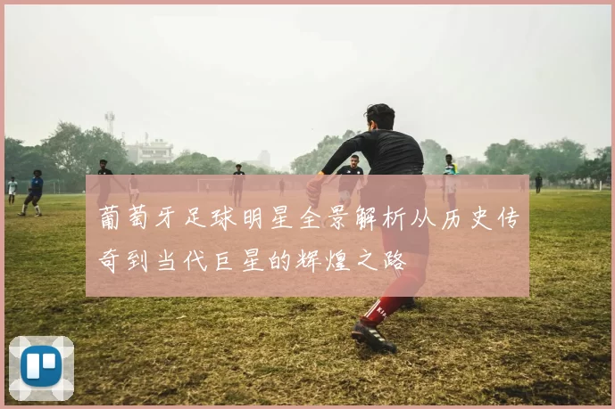 葡萄牙足球明星全景解析从历史传奇到当代巨星的辉煌之路
