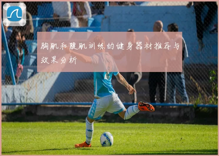 胸肌和腹肌训练的健身器材推荐与效果分析