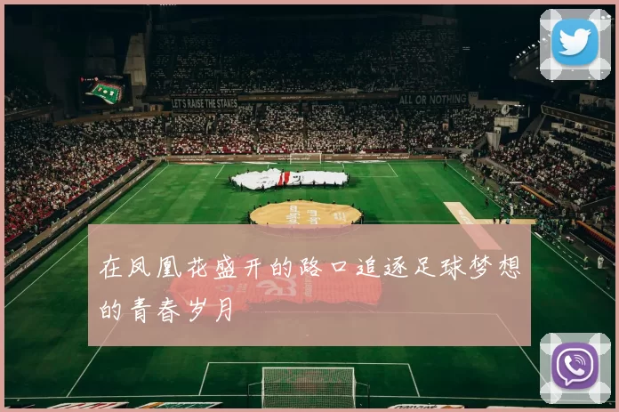在凤凰花盛开的路口追逐足球梦想的青春岁月