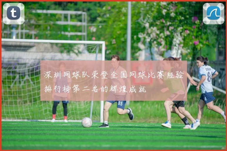 深圳网球队荣登全国网球比赛经验排行榜第二名的辉煌成就
