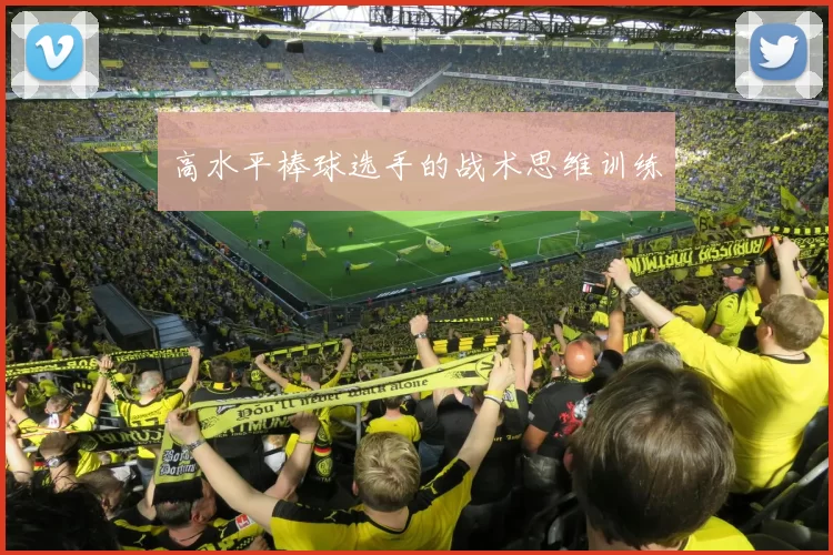 高水平棒球选手的战术思维训练