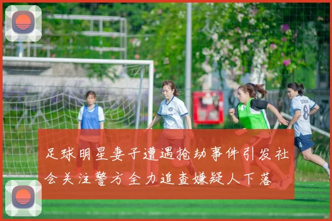 足球明星妻子遭遇抢劫事件引发社会关注警方全力追查嫌疑人下落