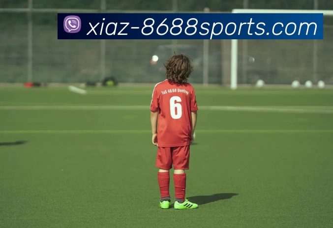 8688体育APP 封面图